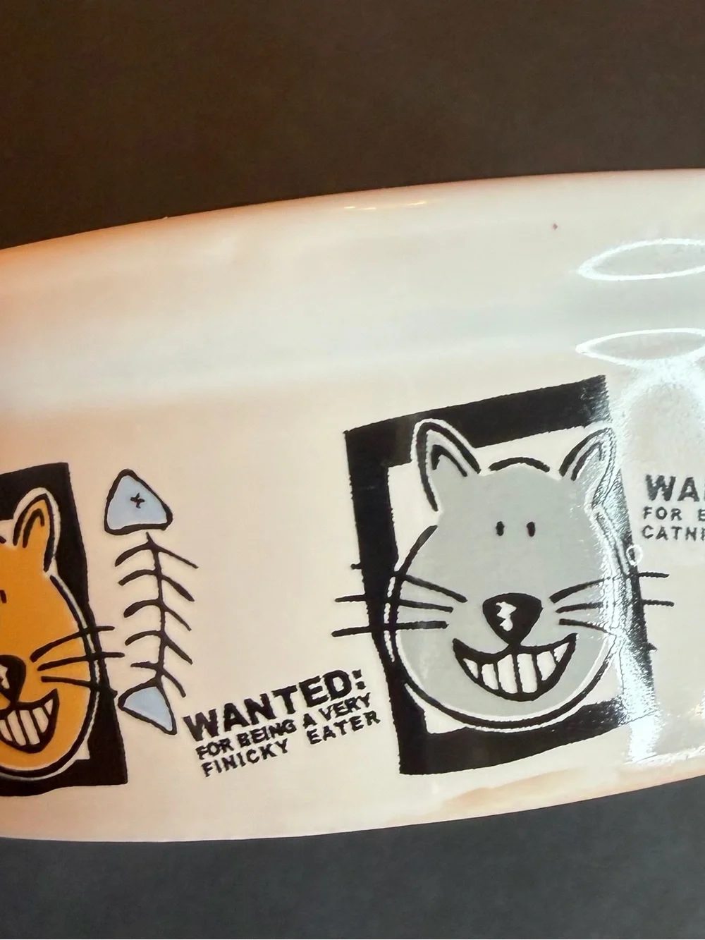 Mug Shots Wanted Stoneware Food Water Cat Bowls By Signature funny pet lowers